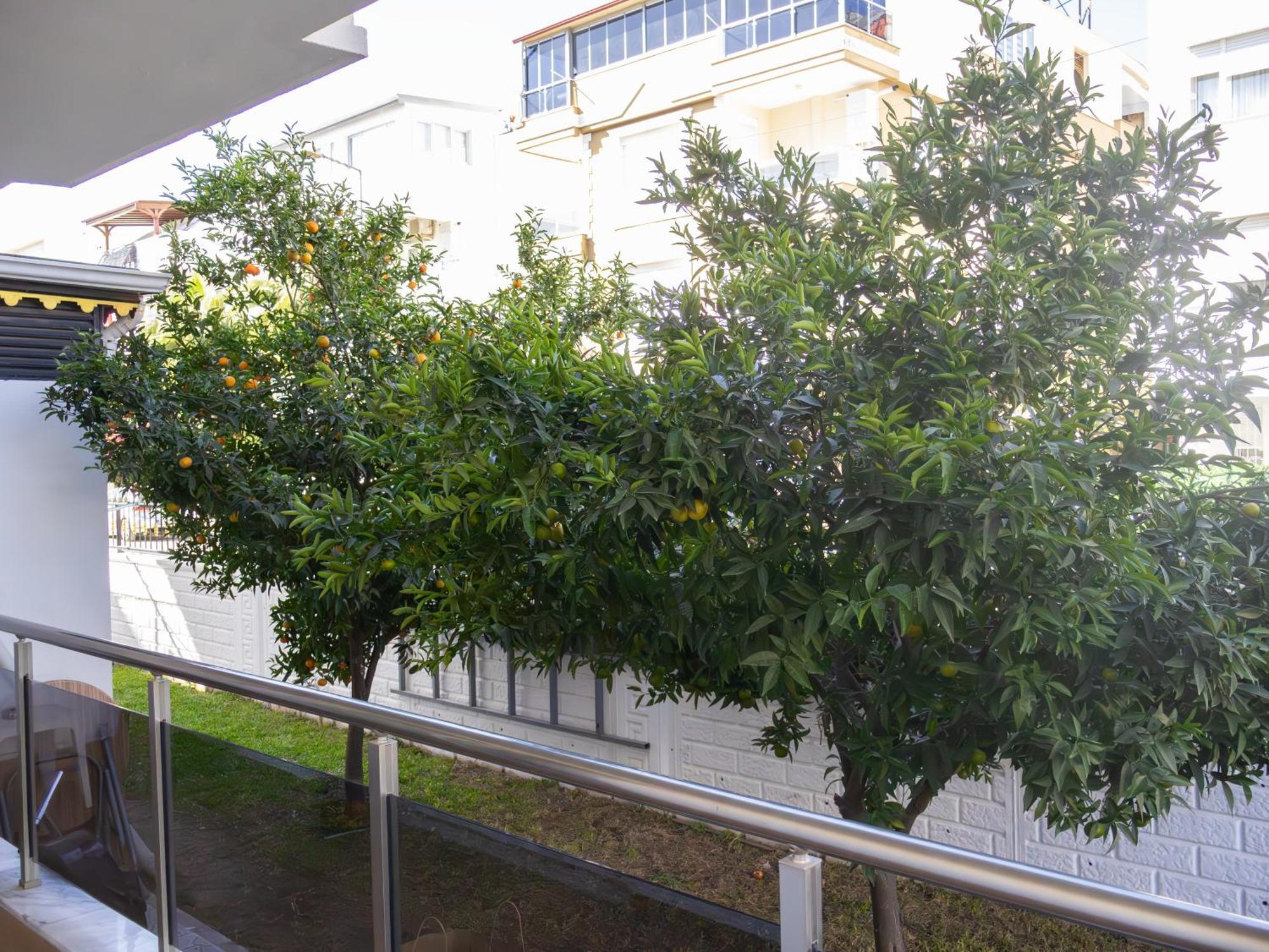 Gueden-Pearl Aparthotel Antalya Buitenkant foto